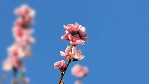 6S目视化管理九道品牌设计-春暖花开的三月，奋斗的号角在春风中吹响！