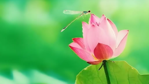 车间参观通道设计九道品牌设计公司-夏至：盛夏长歌，万物繁茂