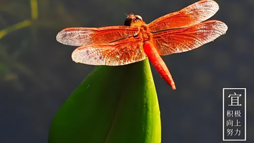 工厂目视化设计九道品牌设计公司-六月即将过去，在时光的渡口，与美好重逢