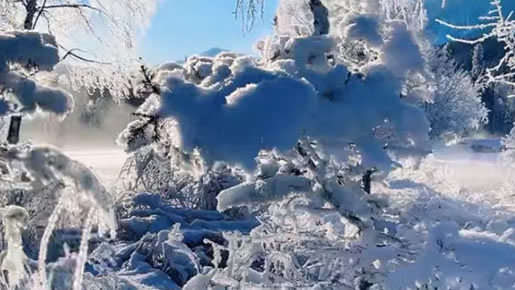 徐州九道品牌设计-十二月:让寒意,成为温暖的序章